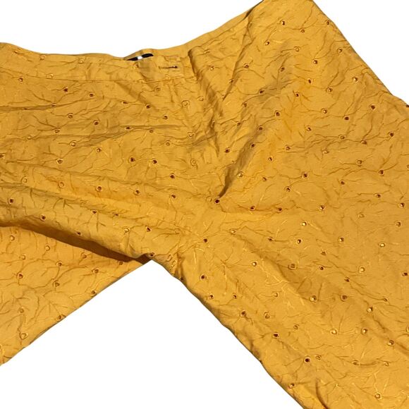 Ashley Stewart Eyelet Capri Pants Lined 18W - Picture 5 of 9